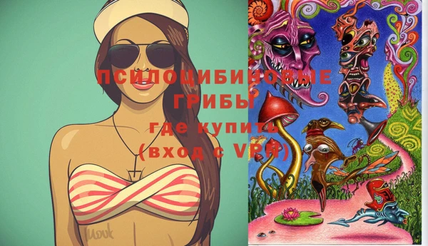 Альфа ПВП Арсеньев