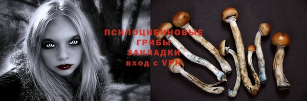 ГАЛЛЮЦИНОГЕННЫЕ ГРИБЫ Армянск